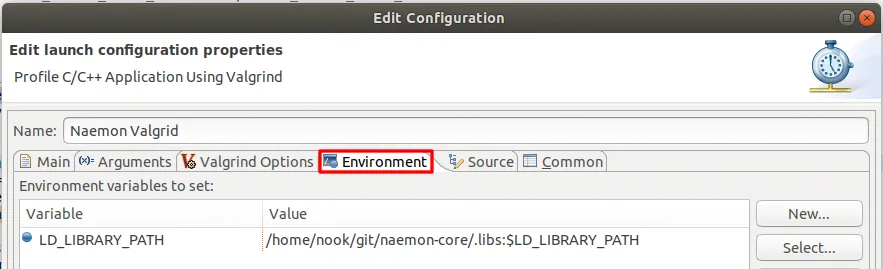 Valgrind environment variable